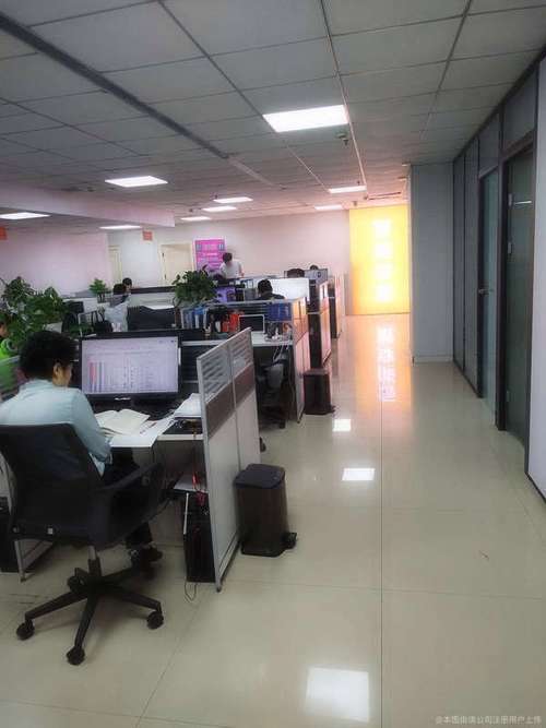 体管理服 务;供应链管理服务;市场调查;信息咨询 服务 ;市场营销策划